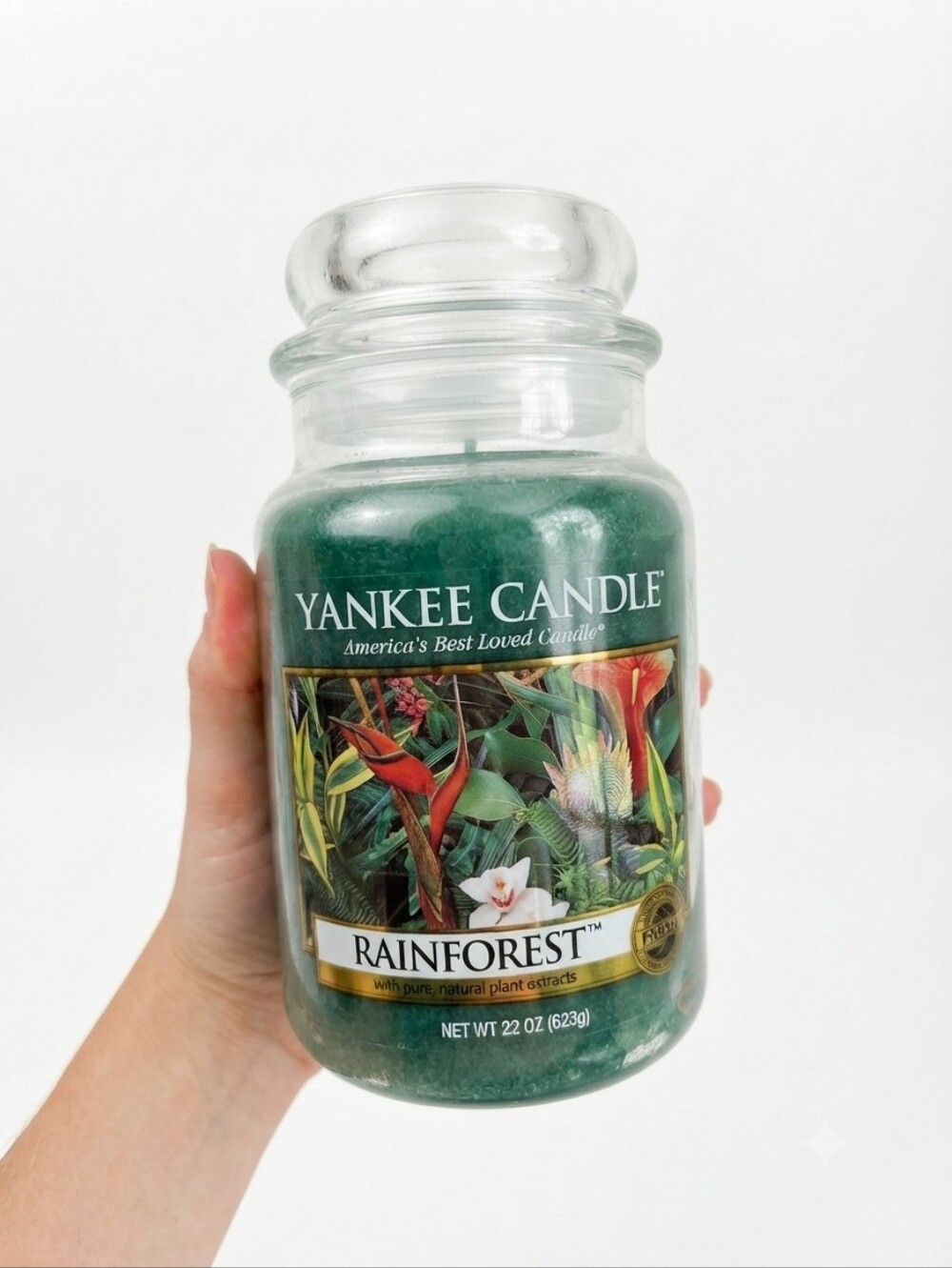 Yankee Candle Rainforest Large Jar Candle 22 oz Brand New Unlit
